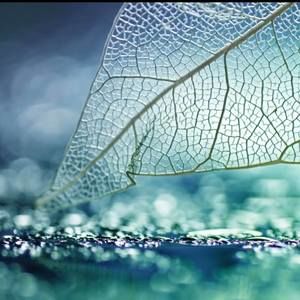 Meet your Posher, Lydia